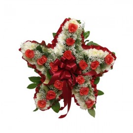 The Christmas Star
